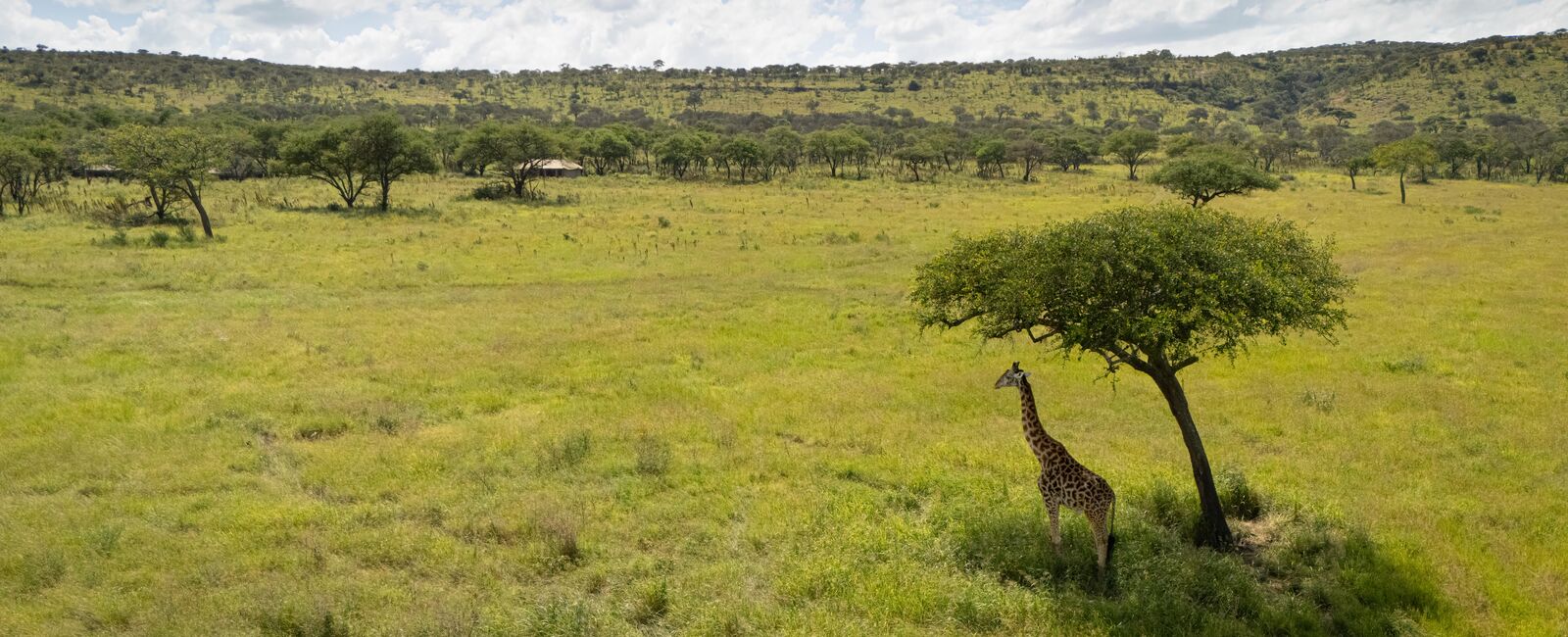 Tanzania Signature Safari